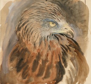 Głowa latawca, z życia, 30 sierpnia - 1 września 1870. autorstwa John Ruskin