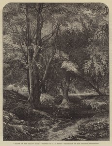 Nawiedzenie danieli