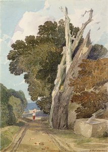 Kasztan hiszpański uderzony przez piorun (toaleta i ołówek na papierze) autorstwa John Sell Cotman