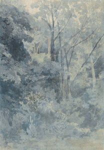 W parku Rokeby autorstwa John Sell Cotman