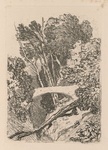Liber Studiorum: Tablica 11: Parsons Bridge, Cardingshire, 1838 autorstwa John Sell Cotman