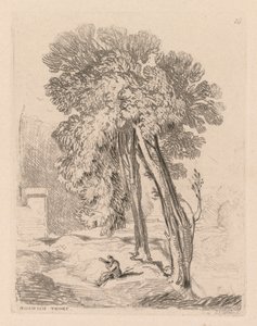 Liber Studiorum: Tablica 18, Drzewa w Norwich Thorp, Norfolk, 1838. autorstwa John Sell Cotman