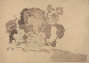 Badanie drzew autorstwa John Sell Cotman