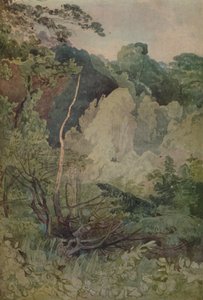 Drzewa w pobliżu rzeki Greta, 1923 autorstwa John Sell Cotman