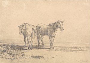 Dwa stare konie stojące na polu autorstwa John Sell Cotman
