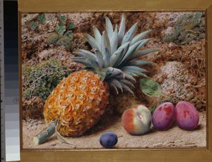 Ananas, Brzoskwinia i Śliwki na omszałym brzegu