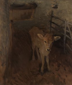 Cielę rasy jersey autorstwa John Singer Sargent