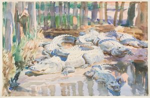 Muddy Alligators, 1917 (wc nad grafitem na papierze) autorstwa John Singer Sargent