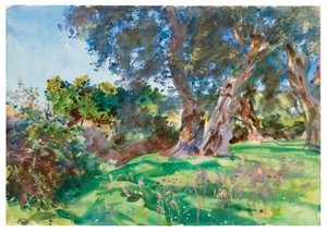 Drzewa oliwne, Korfu autorstwa John Singer Sargent