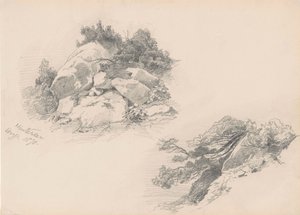 Rocks and Brush, Hintersee, Niemcy, 1871 (grafit na papierze tkanym) autorstwa John Singer Sargent