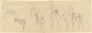 Studia podkuwania koni kalwaryjskich na froncie [recto], 1918. autorstwa John Singer Sargent