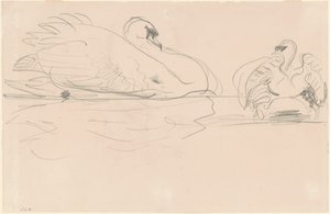 Łabędzie w wodzie, 1880-1900. autorstwa John Singer Sargent