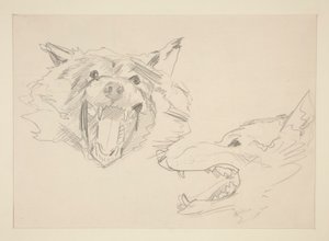 Dwa widoki wilka autorstwa John Singer Sargent