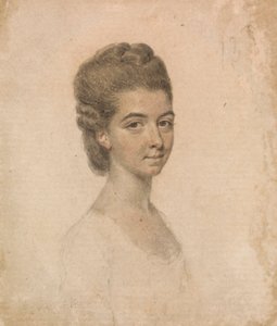 Pani Warda autorstwa John Smart