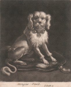 Mały Pies, Ubrany W Kołnierz Z Dzwonkiem. autorstwa John Smith