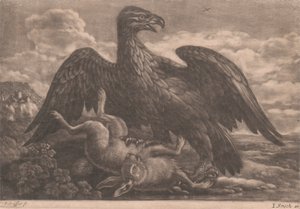 orzeł i zając autorstwa John Smith