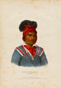 Foke-luste-ajo, Seminole