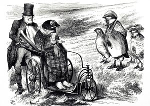 Karykatura komentująca zawieszenie strzelania z Grouse Shooting, aby umożliwić odbudowę kolby. Ilustrowane przez Johna Tenniela (1820-1914), angielskiego ilustratora, grafika humorystycznego i rysownika politycznego autorstwa John Tenniel