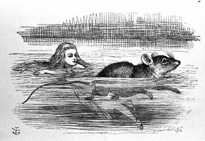 Alicja w Krainie Czarów Lewisa Carrolla (E. Dodgson). Ilustracja do pierwszego wydania autorstwa Tenniel autorstwa John Tenniel