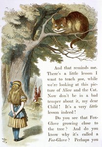 Kot z Cheshire autorstwa John Tenniel