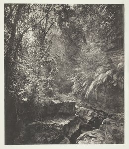Górska przełęcz w Formozie autorstwa John Thomson