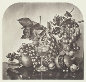 Owoce, ok. 1868. autorstwa John Thomson