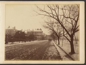 [Snowy road] autorstwa John Thomson