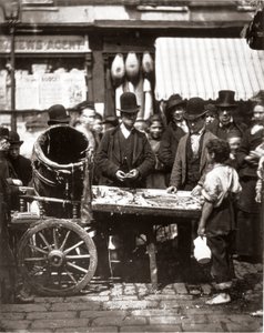 Tanie ryby z St-Giles, z „Street Life in London”, J. Thomson i Adolphe Smith autorstwa John Thomson