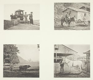 Sedan, oficer wojskowy, Pług, kucyk z północnych Chin, ok. 1930 r. 1868. autorstwa John Thomson
