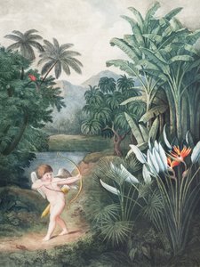 „Kupidyn inspirujący rośliny miłością” z „Świątyni Flory” (1807) autorstwa Roberta Johna Thorntona autorstwa John Thornton