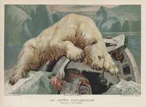 Eksploracja Arktyki: niedźwiedź polarny badający przedmioty z wyprawy arktycznej (chromolitho) autorstwa John Trivett Nettleship