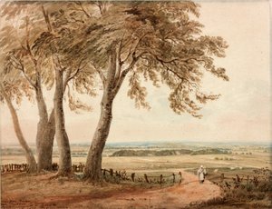 Widok z Polsden koło Bookham w Surrey autorstwa John Varley