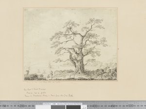 F.44 Widok na brzeg morza, duże drzewo pośrodku, ok.1783-84 autorstwa John Webber