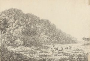 Widok na wyspie Pulo Condore autorstwa John Webber