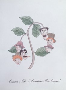 Wspólne orzechy. (Lunatica Marxbrosium), ilustracja z „Fałszywej księgi botaniki” Johna Weira