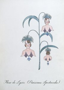 Fleur de Lysia (Parisiana Spectacula.), ilustracja z „Fałszywej księgi botaniki” Johna Weira