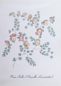 Hair-Belles (Marcella Luxuriantia), ilustracja z „Fałszywej księgi botaniki” Johna Weira