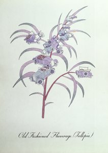 Old Fashioned Flivverage (Fallopia.), ilustracja z „Fałszywej księgi botaniki” Johna Weira autorstwa John Weir