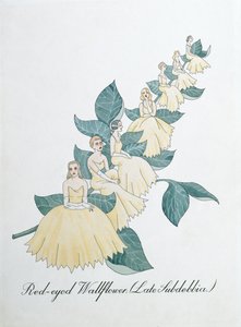 Red-eyed Wallflower (Późne Subdebbia), ilustracja z „Fałszywej księgi botaniki” Johna Weira