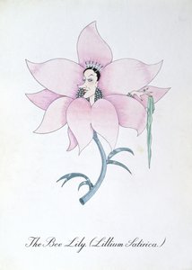 Pszczoła lilia (Lilium satyryczne), ilustracja z „Fałszywej księgi botaniki” Johna Weira