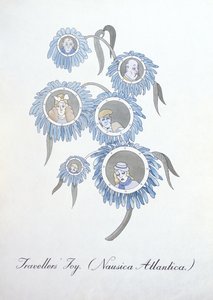 Radość podróżnika (Nausica Atlantica.), ilustracja z „Fałszywej księgi botaniki” Johna Weira autorstwa John Weir