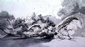 Krajobraz, z wyrwanym drzewem autorstwa John White Abbott