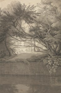 Drzewa Nad Jeziorem autorstwa John White Abbott