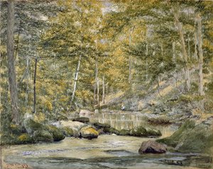 Эрэгтэйчүүдийн загас агнууртай ойн усан сан, 1870 (цаасан дээрх угаалгын өрөө)поли