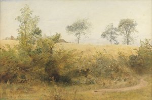 Nietoperz zaczyna się od Giddy Wing - Pole jęczmienia nad żywopłotem, 1885 (toaleta i ołówek z wydrapywaniem na papierze)