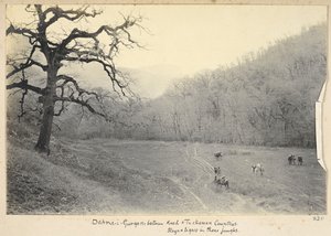 Prowincja Razavi Khorasan, Iran, ok. 1908 (zdjęcie czarno-białe)