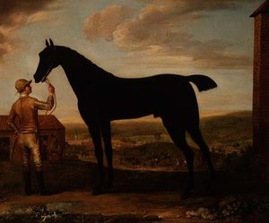 „Basto”, ciemnogniaty koń wyścigowy trzymany przez pana młodego przed stajnią w Newmarket autorstwa John Wootton