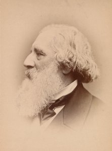 [John Frederick Lewis], lata 60. XIX wieku. autorstwa John and Charles Watkins