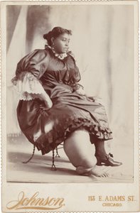 Portret kobiety, ok. 1890 (zdjęcie) autorstwa Johnson