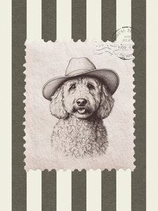 Kapelusz kowbojski Goldendoodle